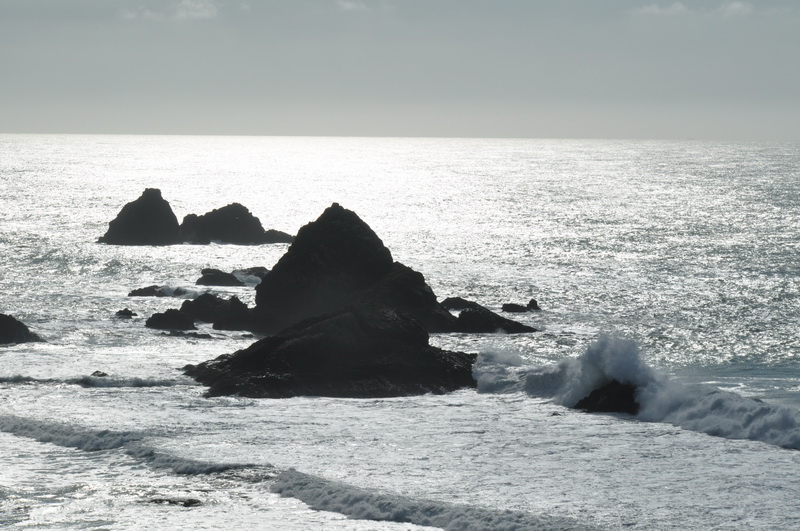 DSC_0050_resize.JPG