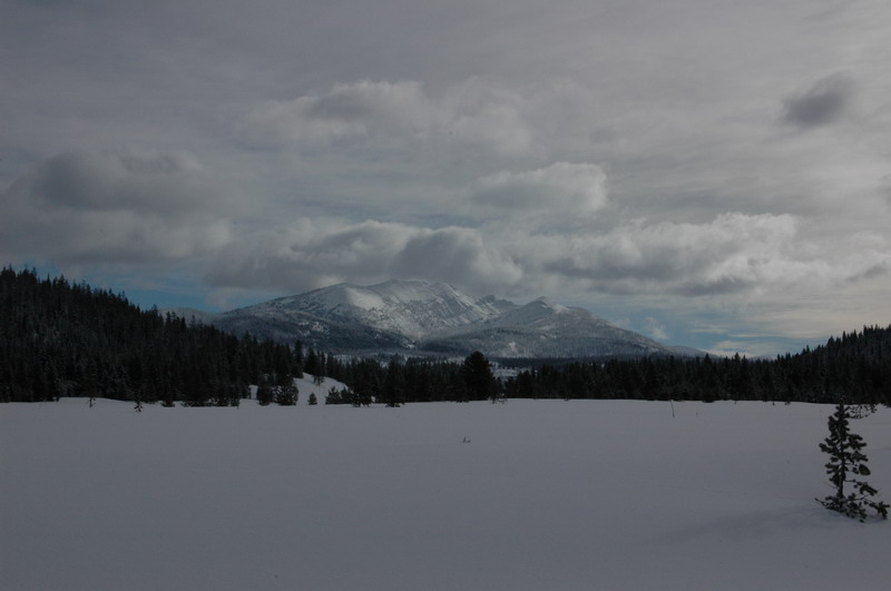 DSC_0668_resize.JPG