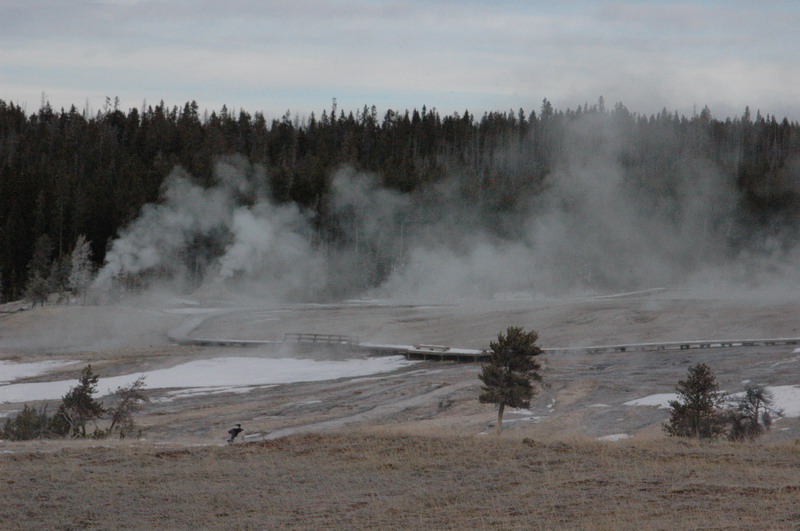 DSC_0871_resize.JPG
