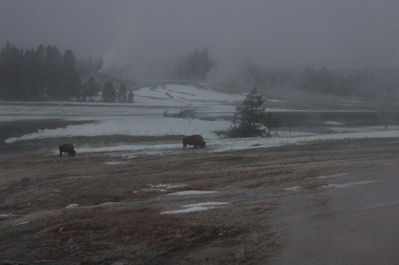 DSC_0924_resize.JPG