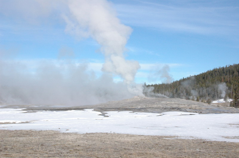 DSC_0930_resize.JPG