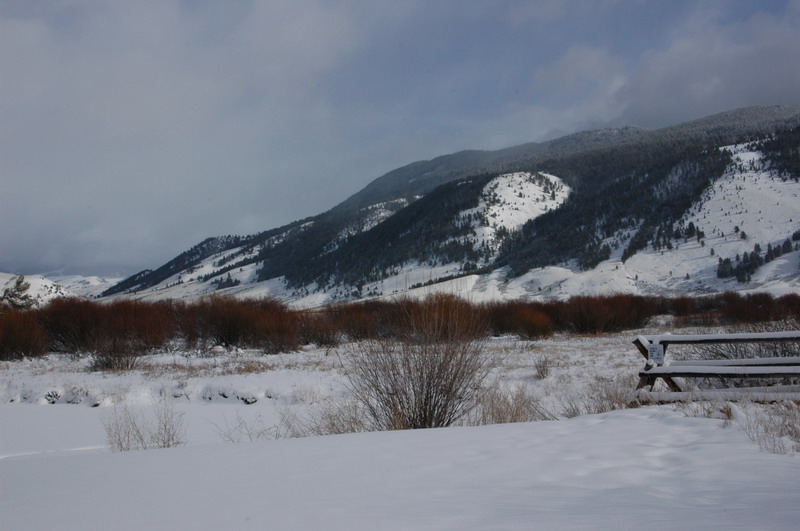 DSC_1252_resize.JPG