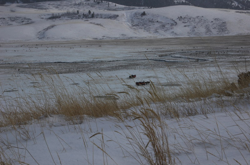DSC_1299_resize.JPG
