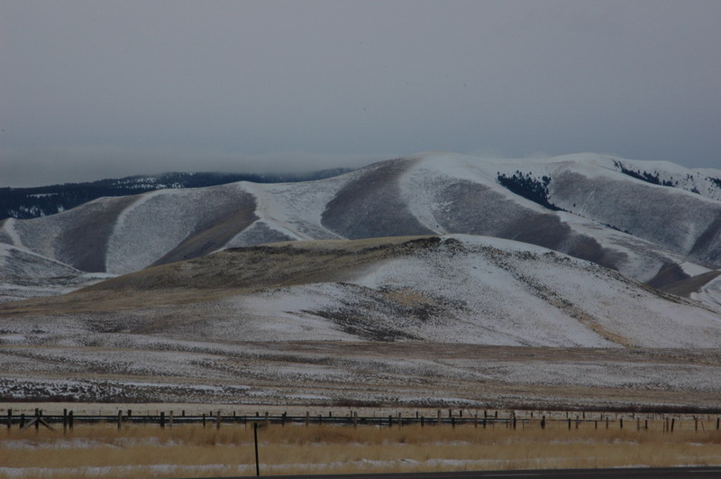 DSC_1329_resize.JPG