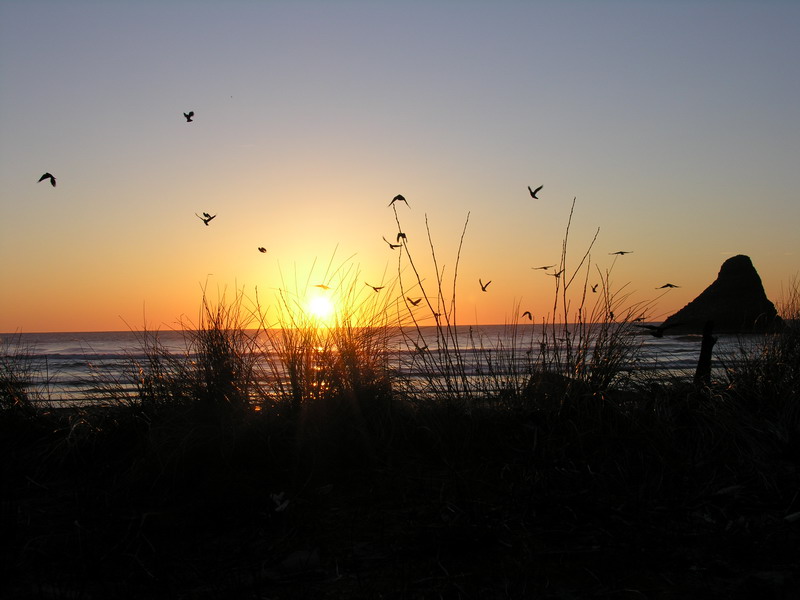 DSCN1623_resize.JPG