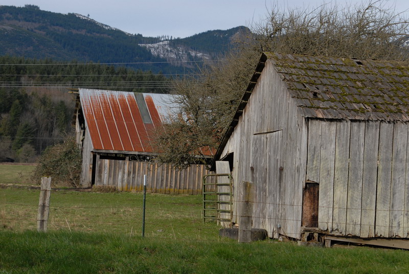 DSC_0089_resize.JPG