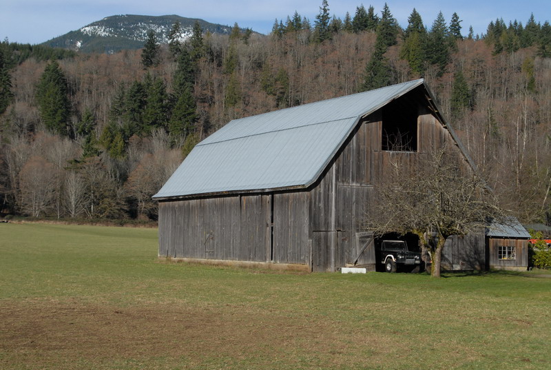 DSC_0136_resize.JPG