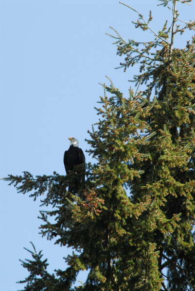 DSC_0006_resize.JPG