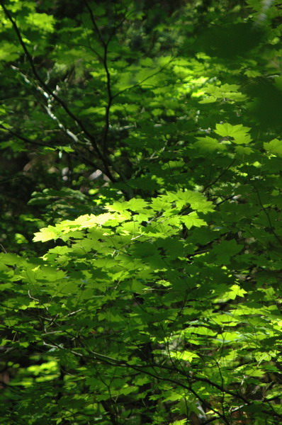 DSC_2200_resize.JPG