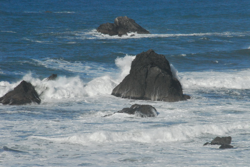 DSC_9559_resize.JPG