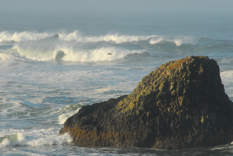 DSC_9983_resize.JPG