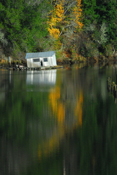 DSC_9524_resize.JPG