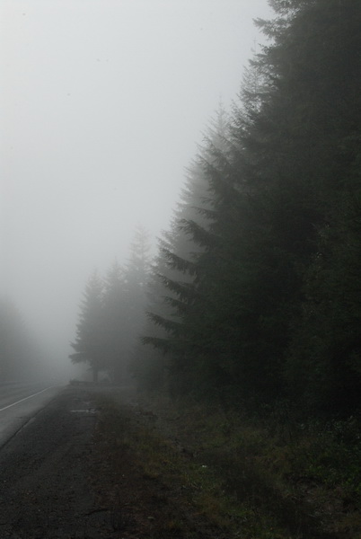DSC_9530_resize.JPG