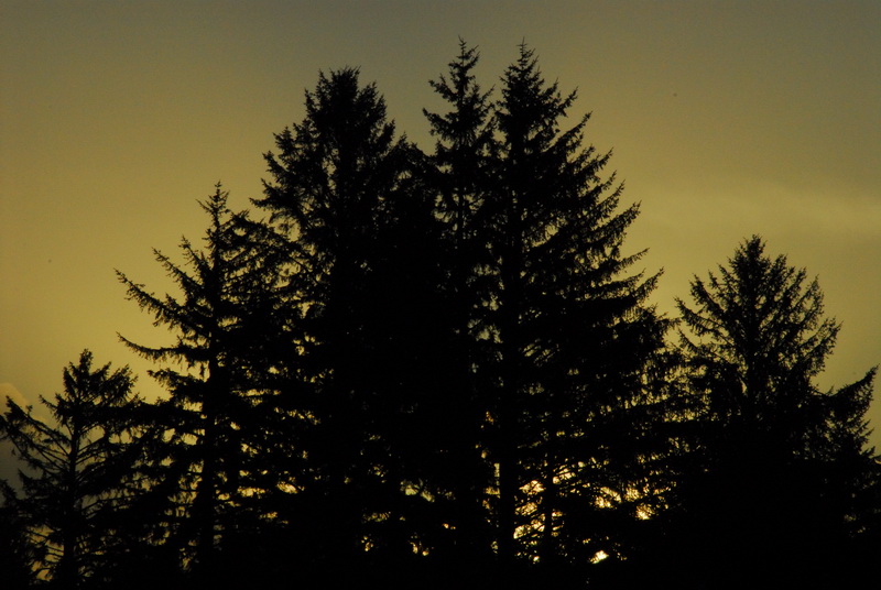 DSC_9486_resize.JPG
