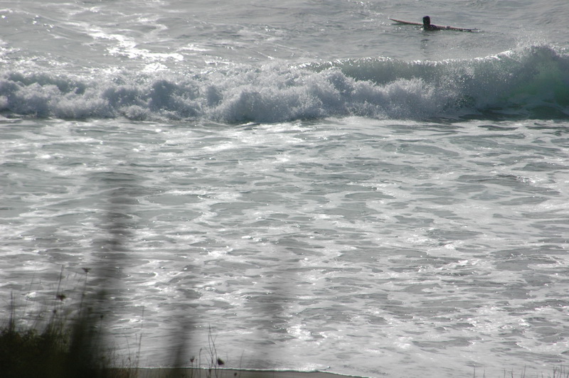DSC_6100_resize.JPG