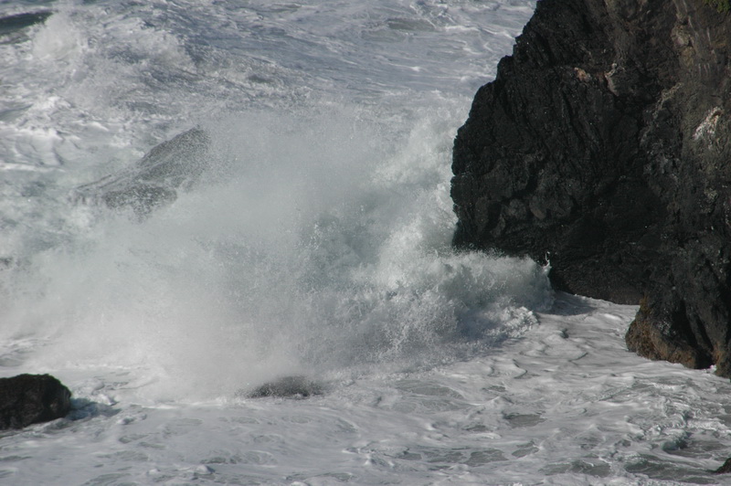 DSC_6118_resize.JPG