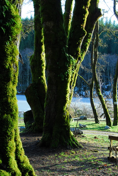 DSC_0247_resize.JPG