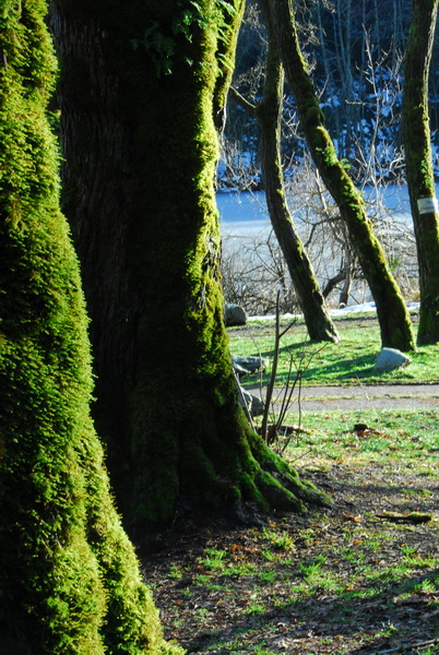 DSC_0248_resize.JPG
