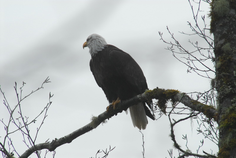 DSC_0102_resize.JPG