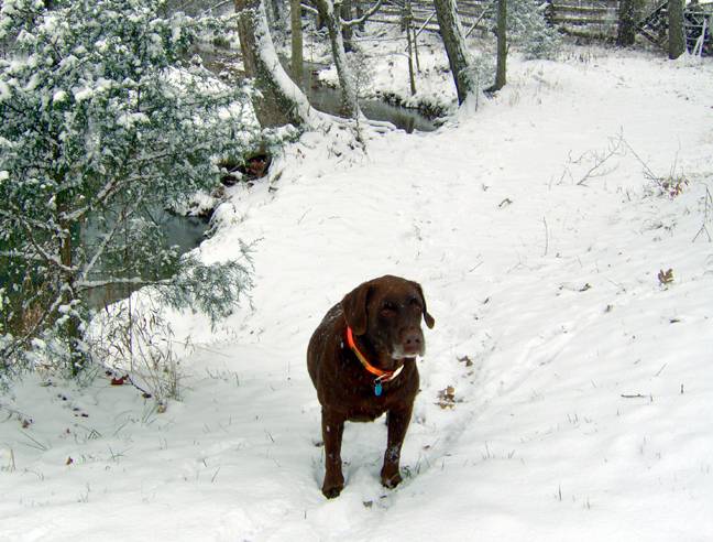 Zach in snow winter 05-06.jpg