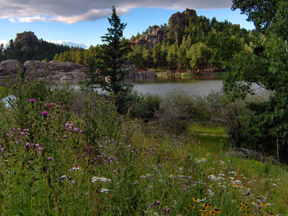 SYLVAN LAKE.jpg