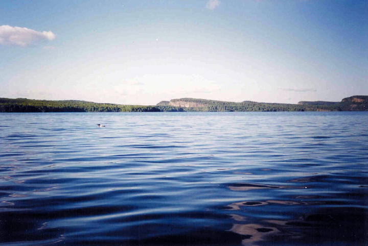 Rose Panorama.jpg