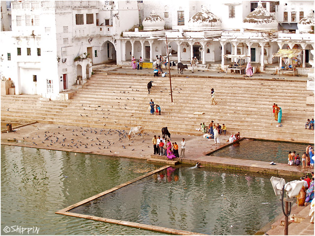 Holy lake of Pushkar, Rajasthan.