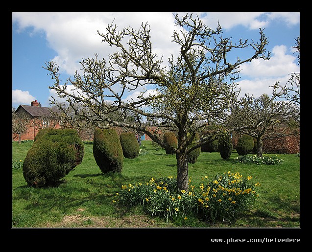 Croft Castle Walled Gardens #30