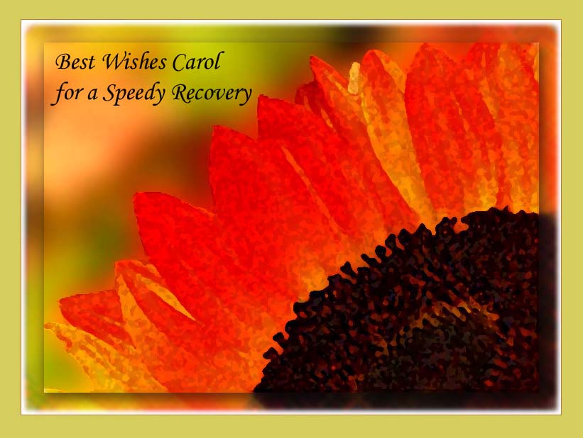 Wishing Carol a Speedy Recovery