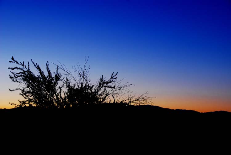 Sunrise Silloutes in Death Valley