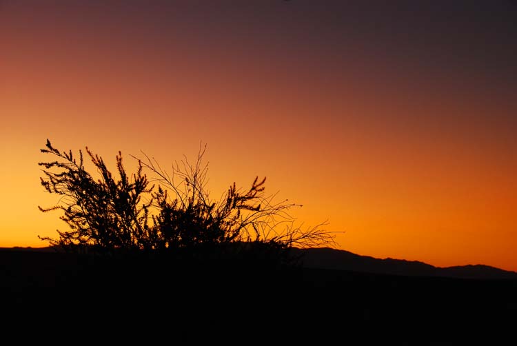 Sunrise Sillouettes in Death Valley
