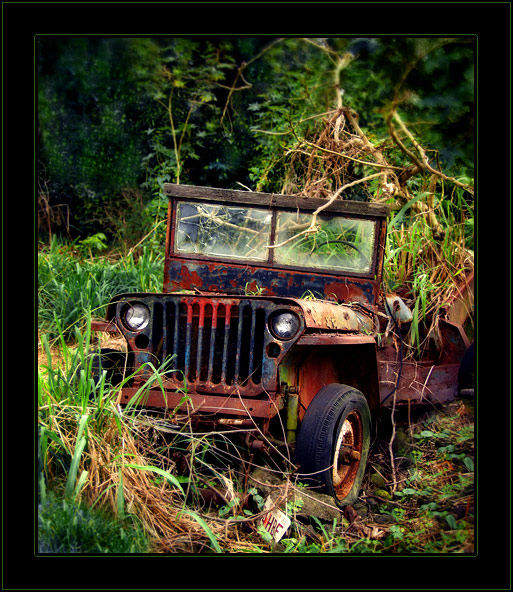 Jungle Jeep