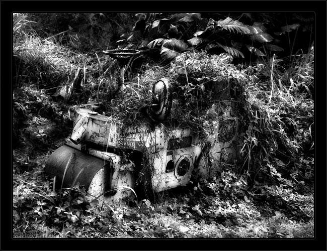 Jungle Paver BW