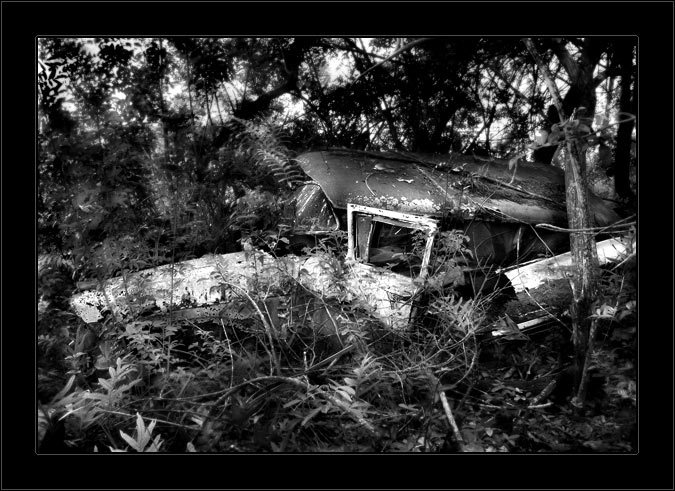 Jungle Station Wagon BW