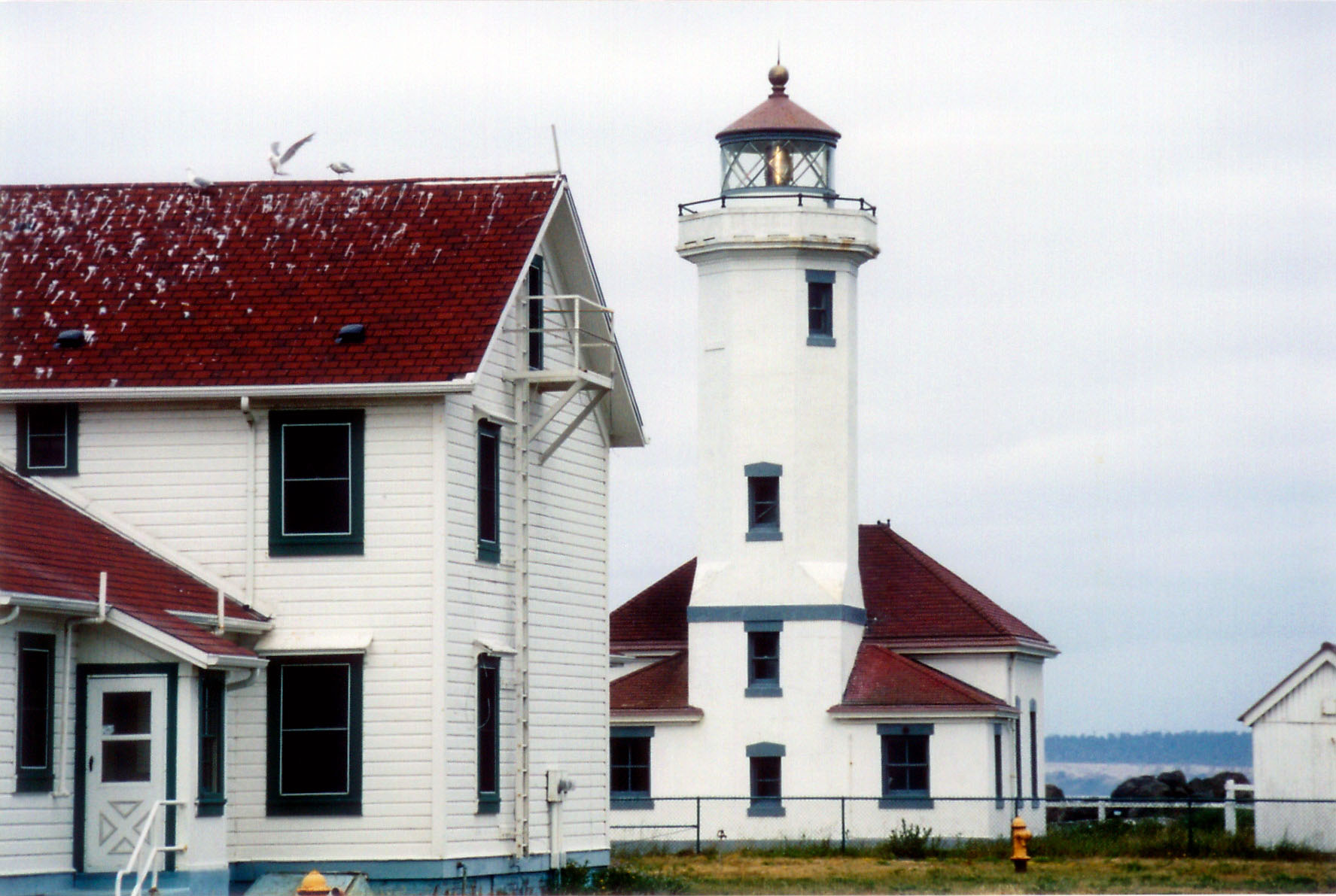 Pt Wilson lighthouse Wa.jpg