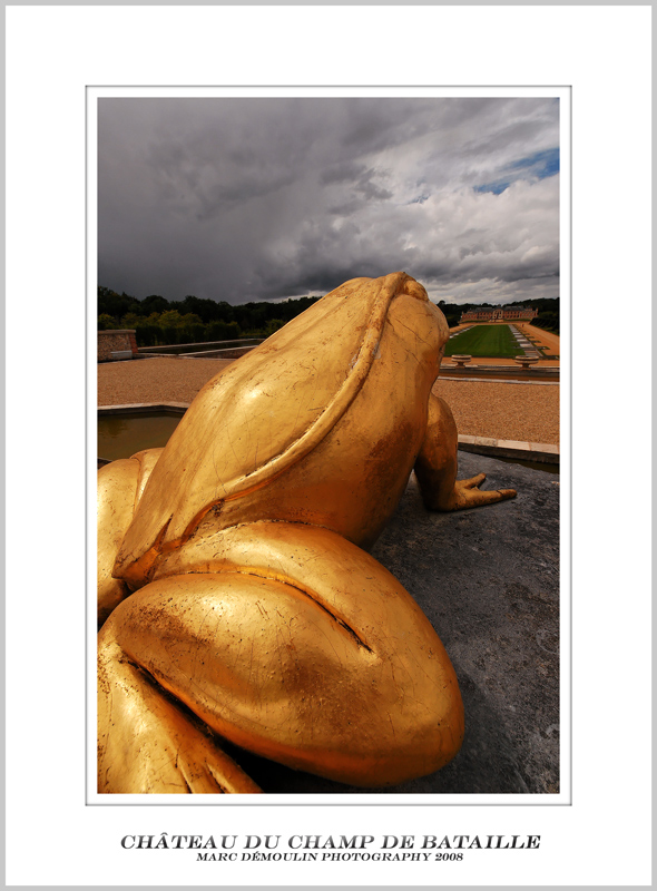 Champ de Bataille (27)