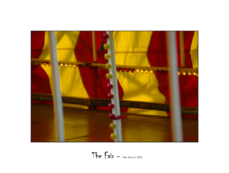 The Fair 29