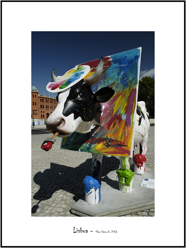 Cows in Lisboa 28