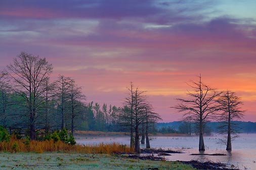 Grenada Lake Sunrise 47040-1