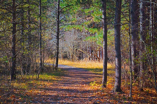Old Quarry Trail 10096