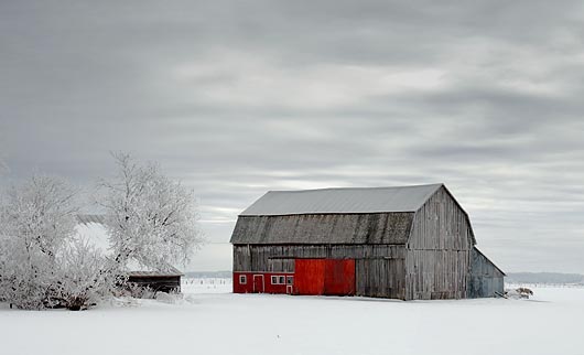 Red Barn Doors 52587-8