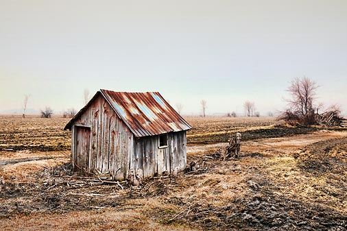 Field Shed 20100322