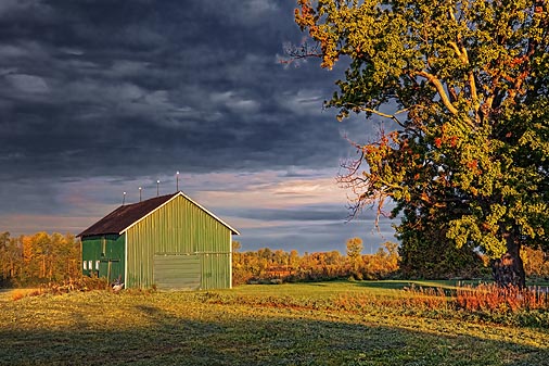Green Barn At Sunrise 22753