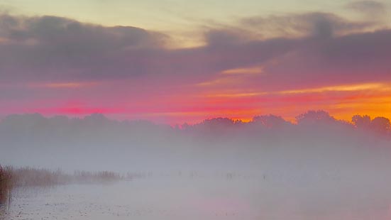 Foggy Sunrise 22672-3