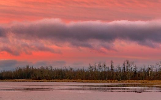 Irish Creek At Sunrise 01895-7