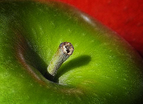 Apple Closeup 20110420