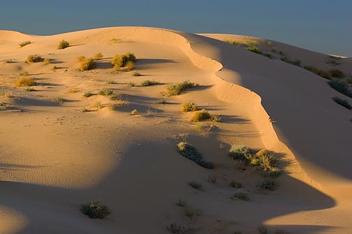 Imperial Sand Dunes 26619