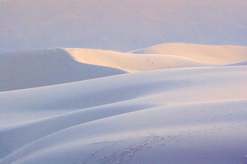 White Sands 32137