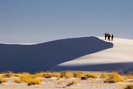 White Sands 31831