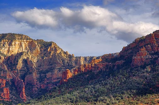 Sedona 29626